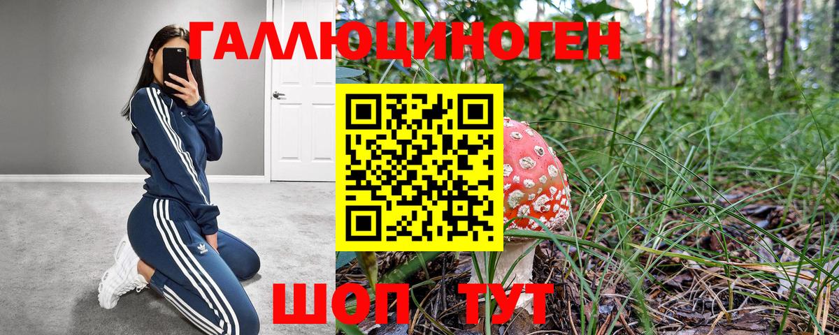 Галлюциногенные грибы мицелий Нижний Новгород