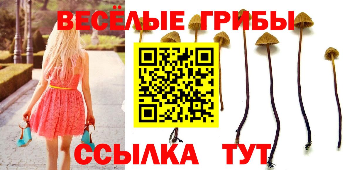 Псилоцибиновые грибы мухоморы  Галлюциногенные грибы Psilocybe  Вход с VPN  Нижний Новгород 